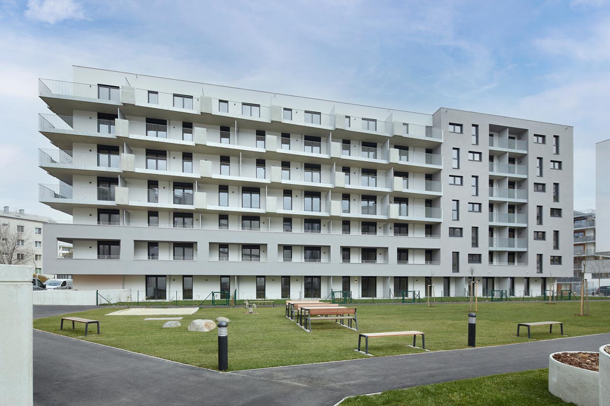 1734520451-ditt4-1