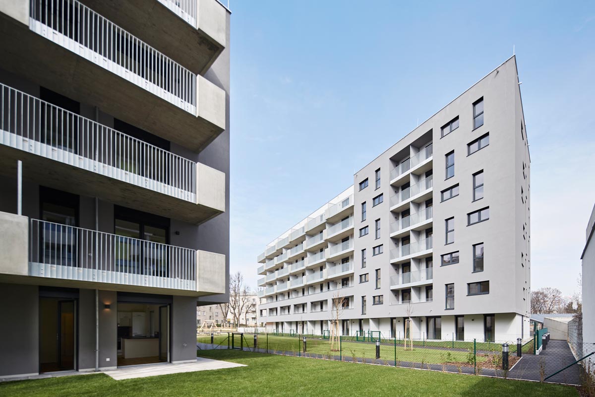 1734520450-ditt4-3
