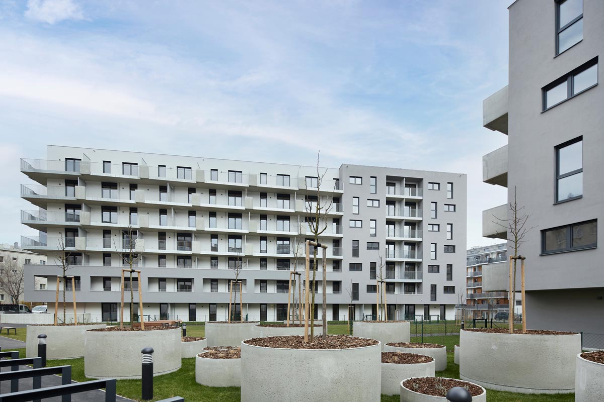 1734520450-ditt4-2